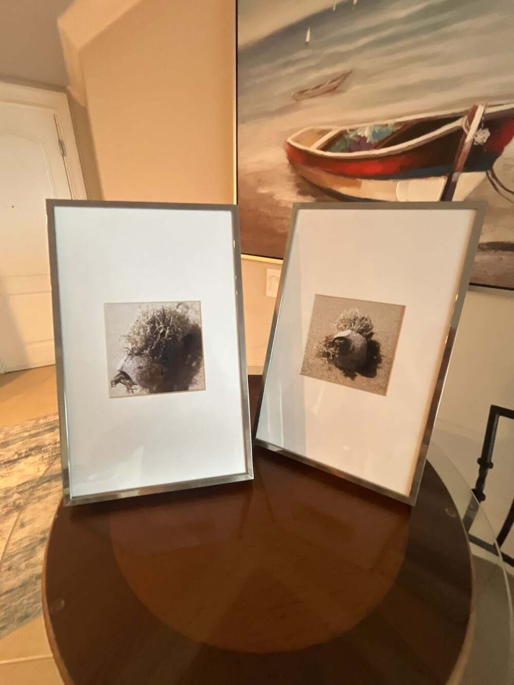 Corals Framed Art Print Under Glass Set of 2